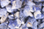 Sodalite – the stone of truth. Sharpens intuition and strengthens awareness. Used in Rengetsu luxury men’s bracelets.